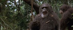 Грейсток: Легенда о Тарзане, повелителе обезьян / Greystoke: The Legend of Tarzan, Lord of the Apes (1984 / DVDRip)