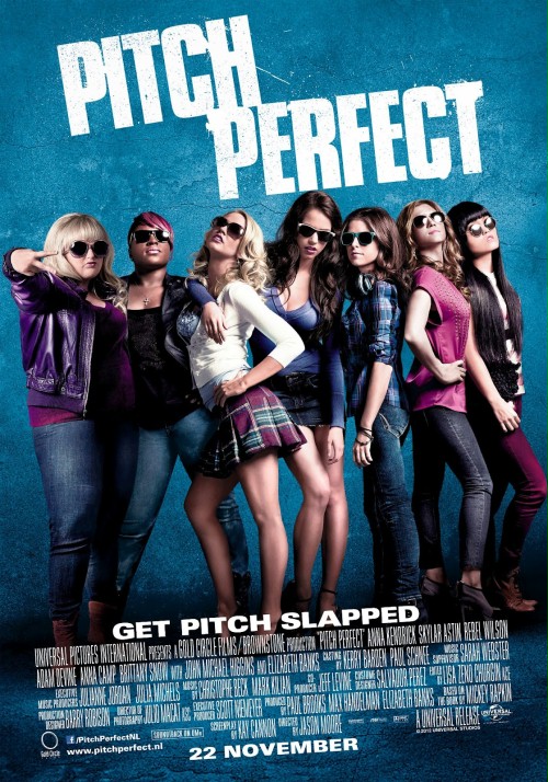Pitch Perfect (2012) 480p.BRRip.XviD.AC3-PTpOWeR