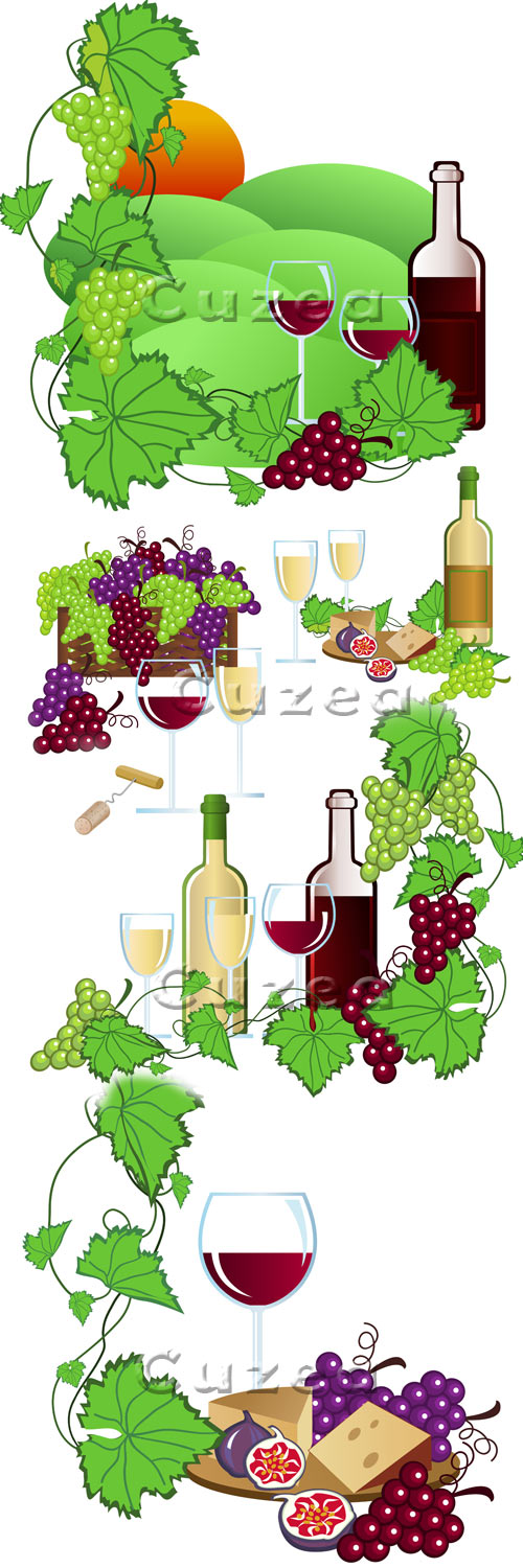     -  / Wineyard - vector stock