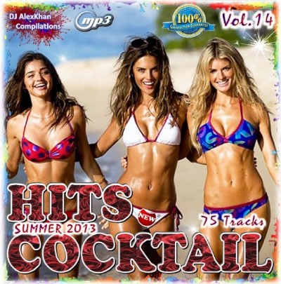  Hit cocktail - Vol. 14 (2013)