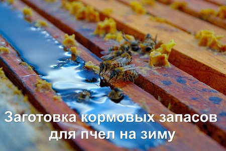 Заготовка кормовых запасов для пчел на зиму (2012)